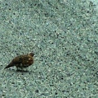 Screen Shot 2016-07-12 at 12.15.39 AM.jpg